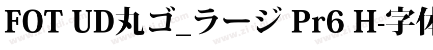 FOT UD丸ゴ_ラージ Pr6 H字体转换
